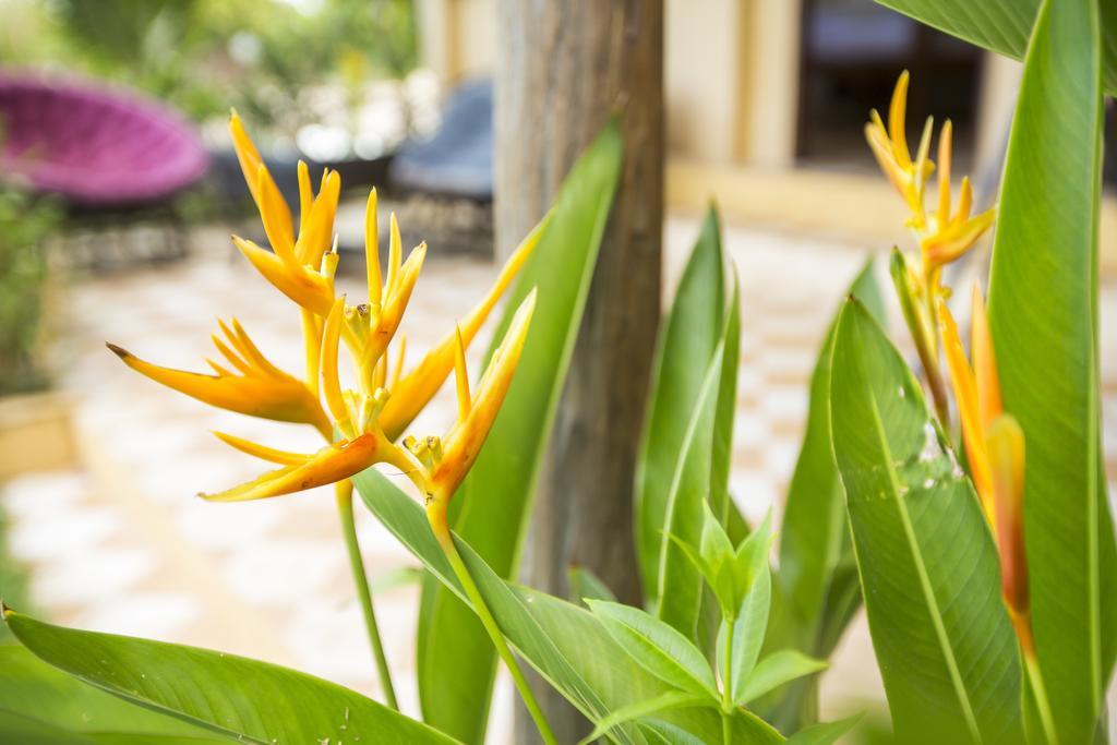 Champa Lodge Kampot Exteriér fotografie