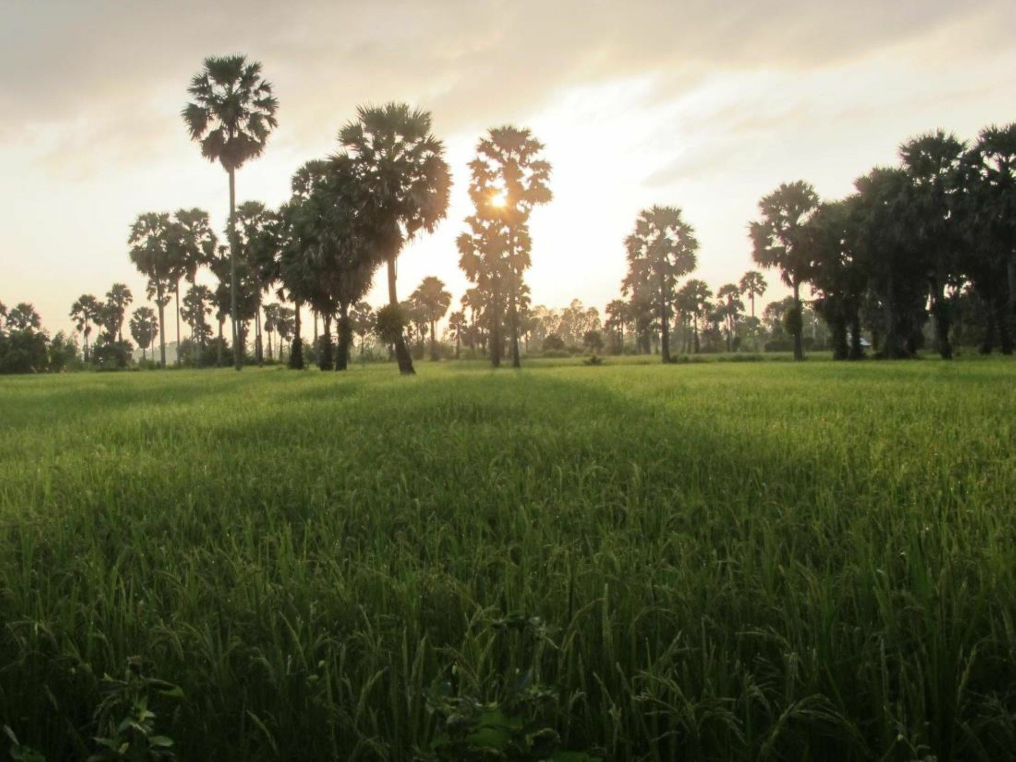 Champa Lodge Kampot Exteriér fotografie